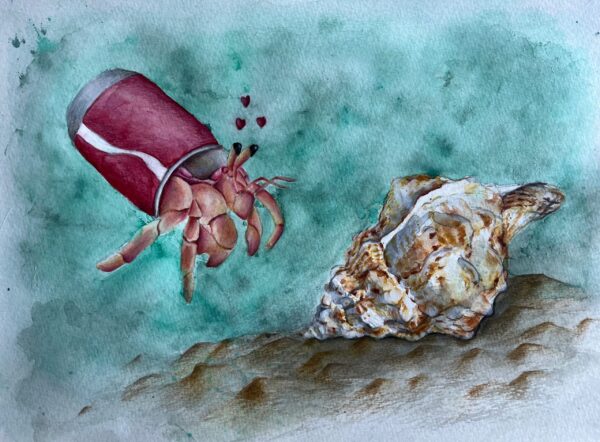 Hermit crab finds new home