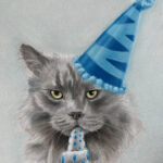 Grumpy Birthday Cat