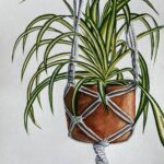 Graslelie in Macrame Hanger