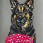 Duitse herder kijkt verlekkerd naar taart