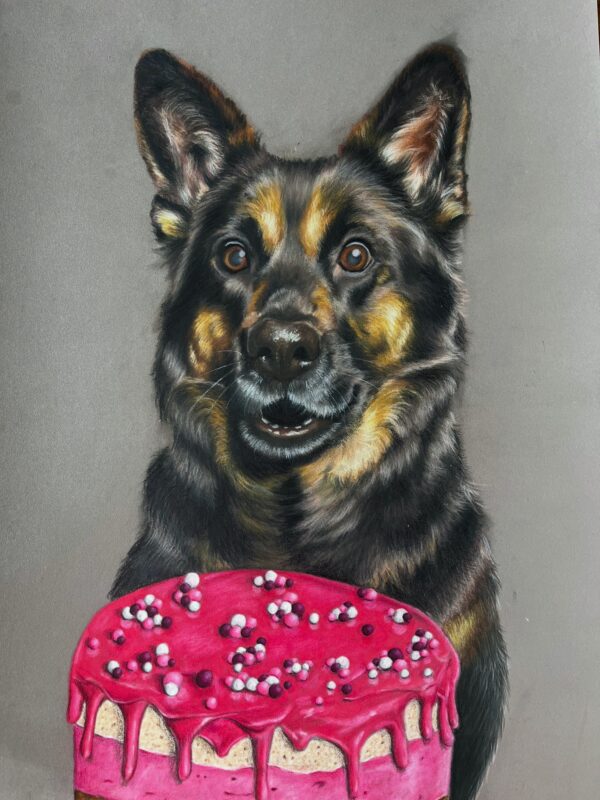 Duitse herder kijkt verlekkerd naar taart