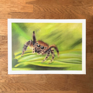 Springspin Art Print