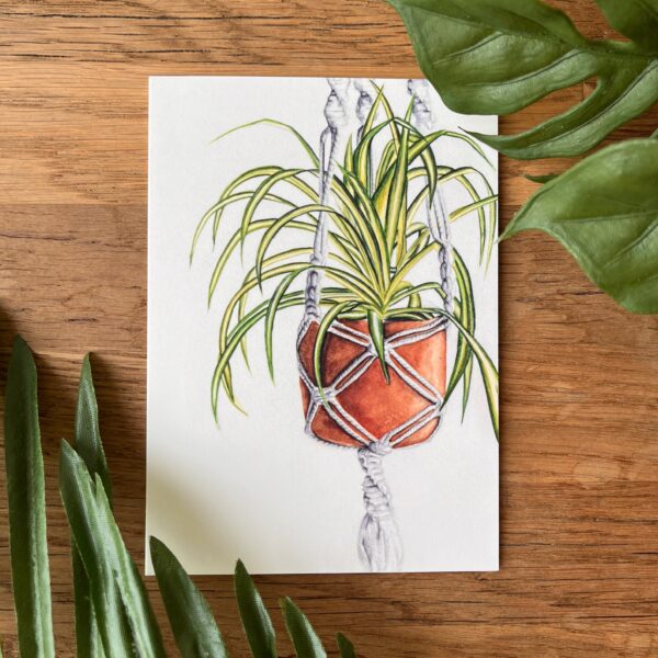 Graslelie in macrame hanger