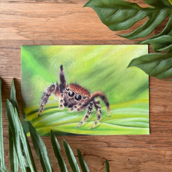 Zwaaiende springspin