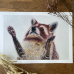 Art print van een wasbeer