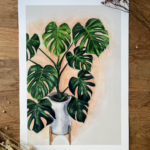 Art Print van een Monstera in pot