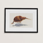 Mockup van een Kiwi poster